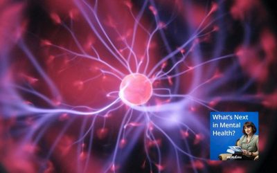 Hermoverkot ja muutoksen periaatteet psykoterapiassa