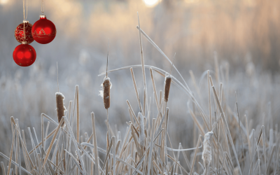Vuonna 2025 lahjoituksemme suuntautuvat lasten, nuorten ja luonnon tukemiseen